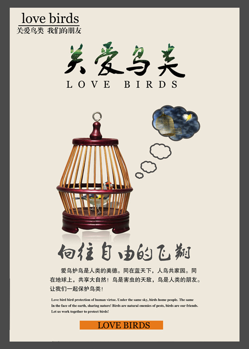 星湖国家湿地公园将举办“野生动物宣传月”宣传活动