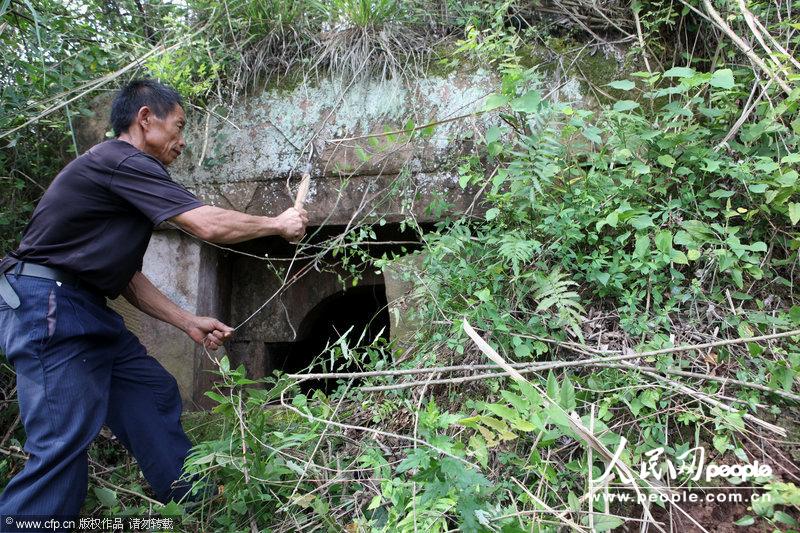 四川内江发现宋代古墓 浮雕精美保存完整