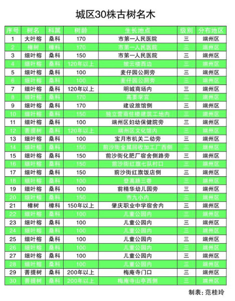 端州为30株古树名木“树碑立传”